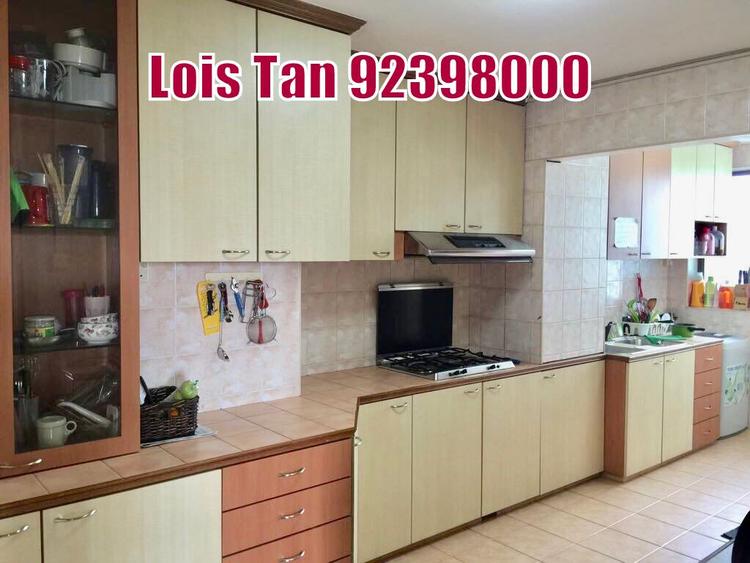 Blk 14A Upper Boon Keng Road (Kallang/Whampoa), HDB 5 Rooms #156649362